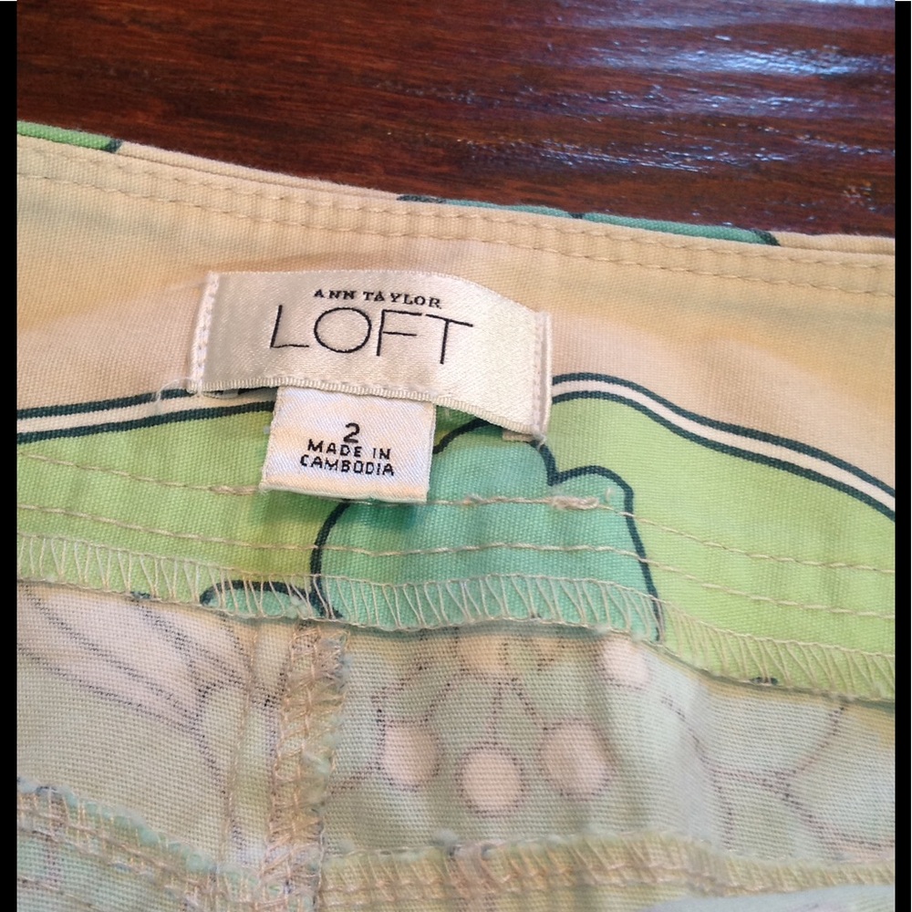 Ann Taylor‎ Loft Skirt. Size 2. - Picture 3 of 4